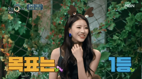 러블리즈 신비한 동물퀴즈 미주