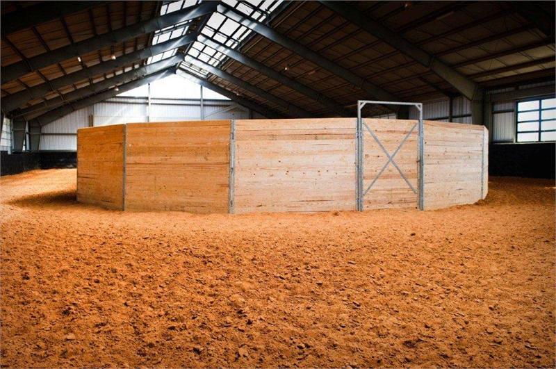 Functional Horsemanship Question on Round Pens