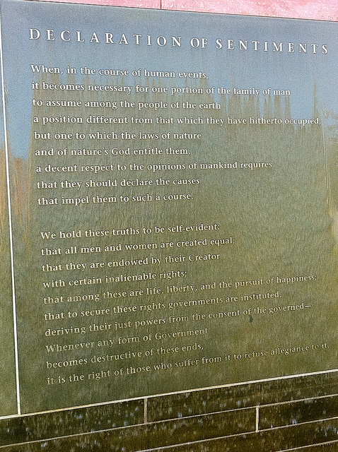 The declaration of sentiments image