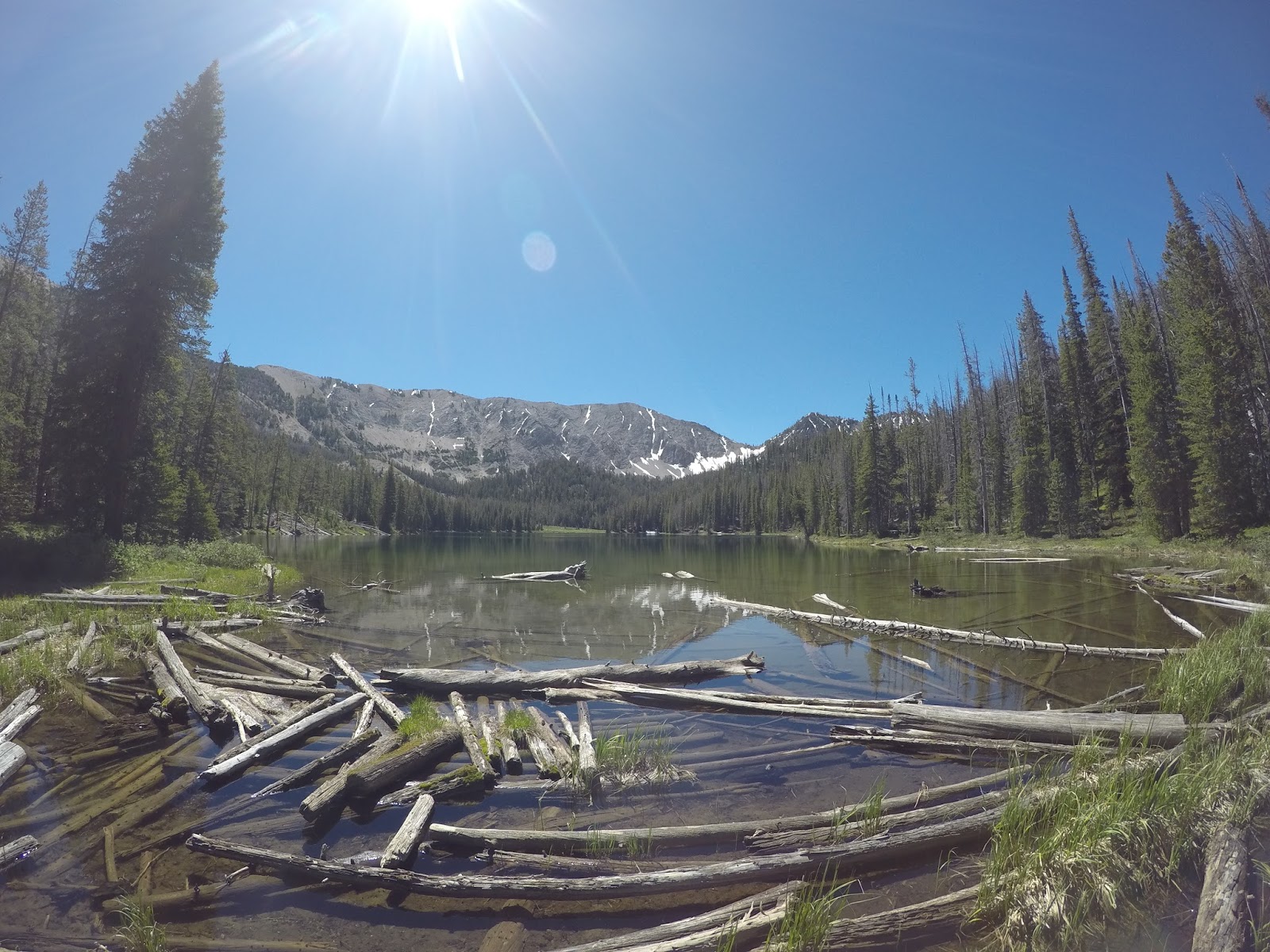Backcountry Lakes White Clouds, Champion Lakes June 25th, 2016