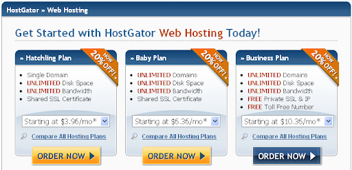 select webhosting plan you want