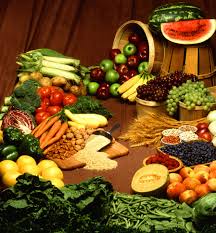 Permaculture Design For Food' - www.kninfocare.blogspot.com Permaculture Design For Food' - www.kninfocare.blogspot.com