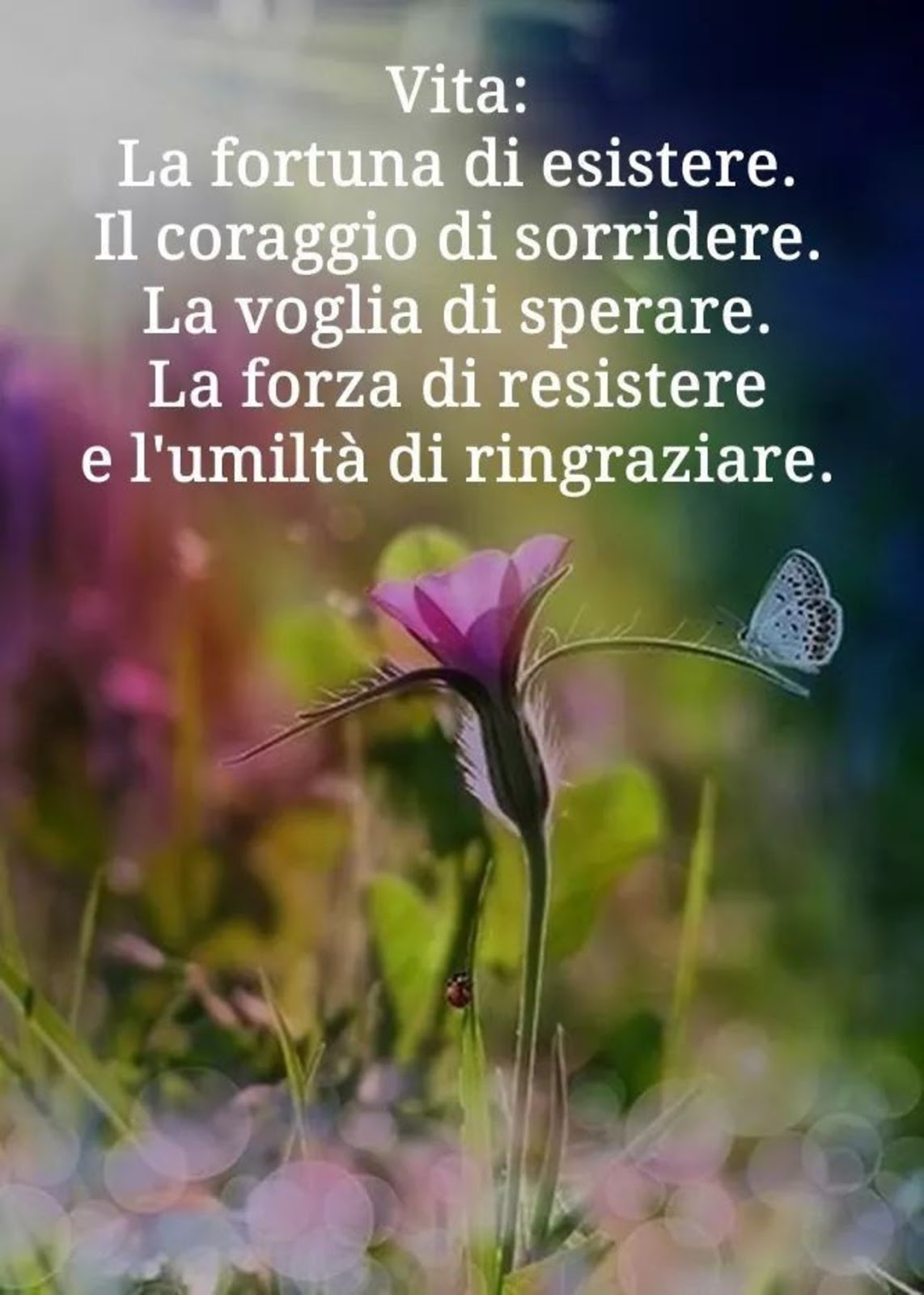 1 Belle Famose Citazioni Belle Citazioni Sulla Vita