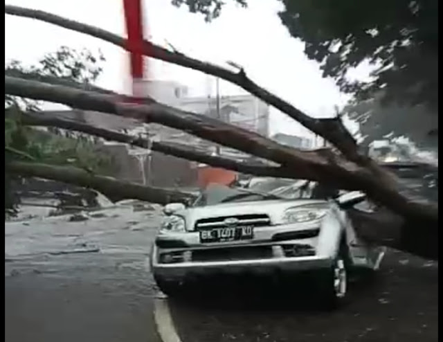 BREAKING NEWS, 2 Mobil Tertimpa Pohon Tumbang Didekat RSUD Adam Malik Medan