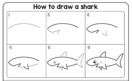 Cara Menggambar  Hewan  Laut Untuk Anak Menggambar  Hewan  