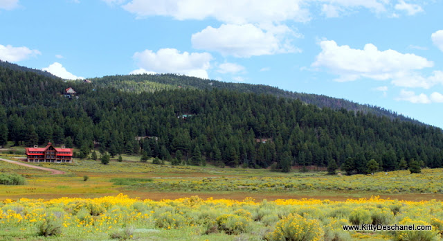 New Mexico mountains