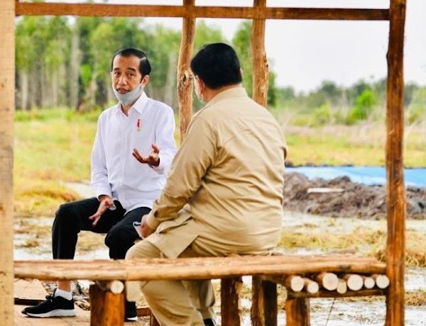 Usai Minta Prabowo Tanam Singkong, Jokowi Perintahkan Bawahannya Tanam Kedelai
