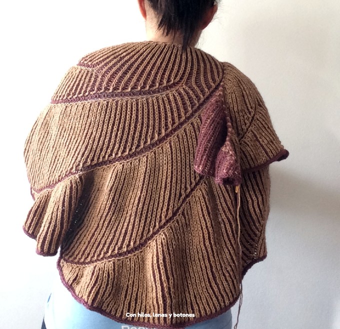 Con hilos, lanas y botones: Chal Eartha frustrado