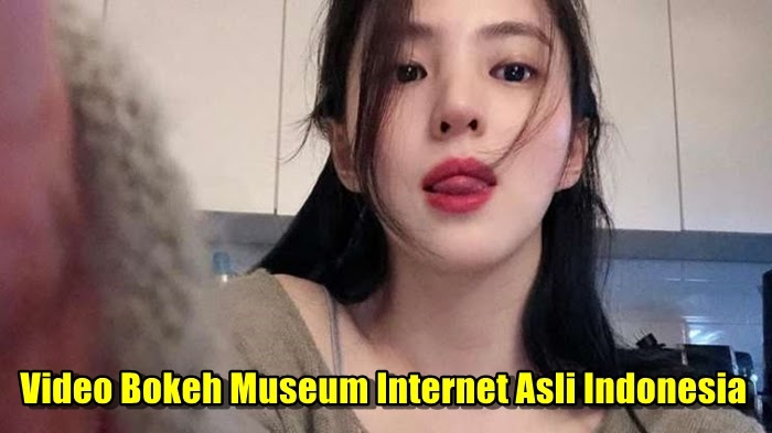 video bokeh museum internet 2020 video bokeh museum internet 2020
