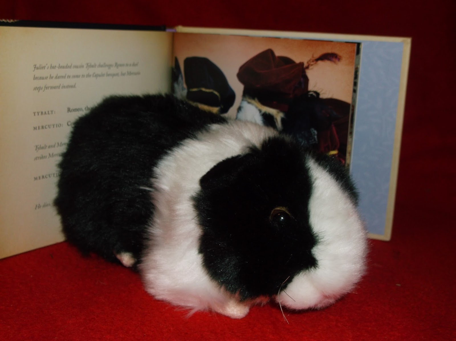 Undercover Guinea Pigs: Look what our Slave was given for her Birthday