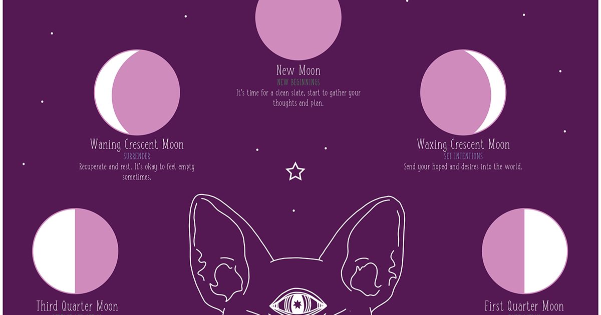 Meta Moon Readings meta-moon-readings