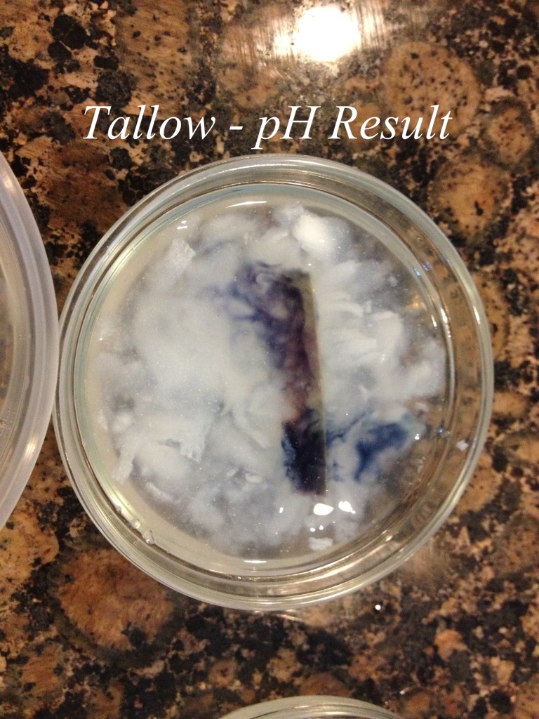 Alchemy & Ashes Single Oil Soap Experiment Phase One