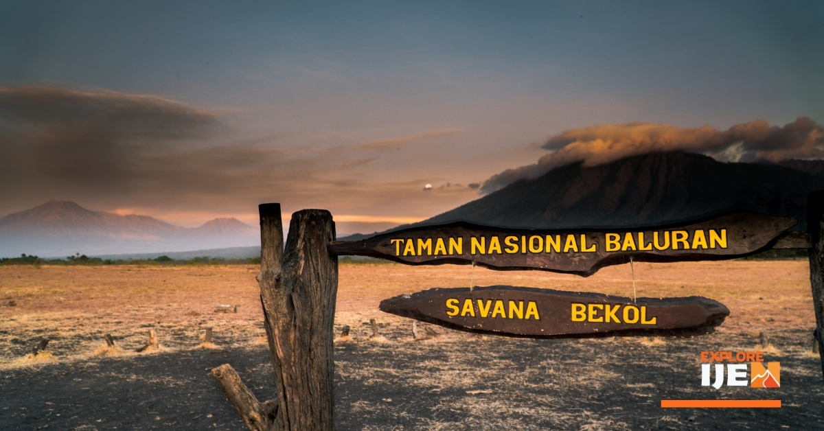 savana Bekol Taman Nasional Baluran savana bekol baluran