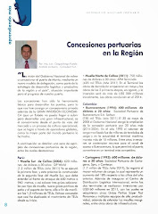 PRINCIPALES CONCESIONES PORTUARIAS EN LA REGION