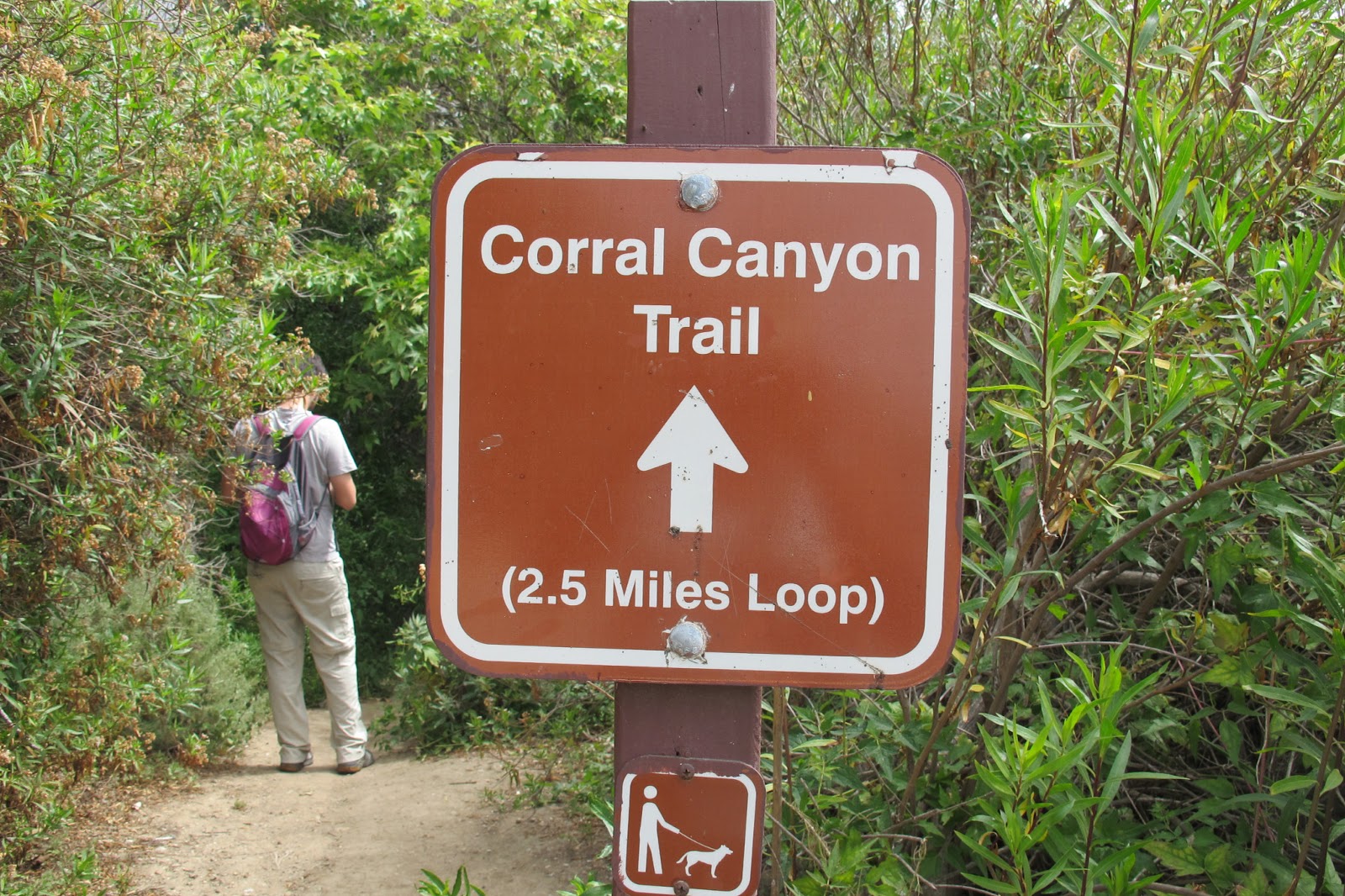 Zambrocal Corral Canyon Park (English)