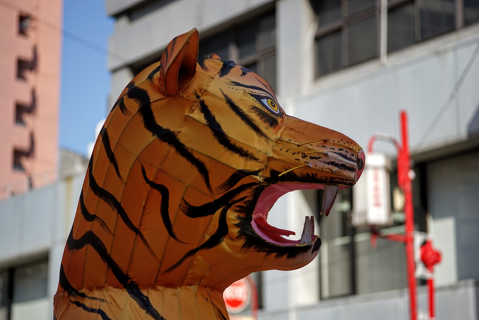 DSC07295.JPG