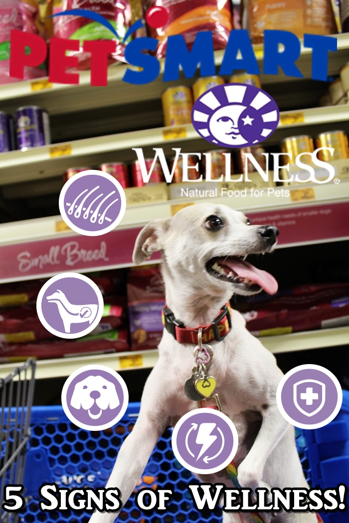 HAPPYHAZEL Finding The Wellness Difference with Wellness Core at