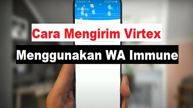 Wa Immune Kawhatsapp 2021 Cara1001