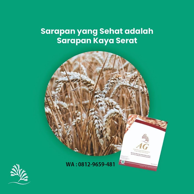 jual alga gold cereal jual alga gold cereal