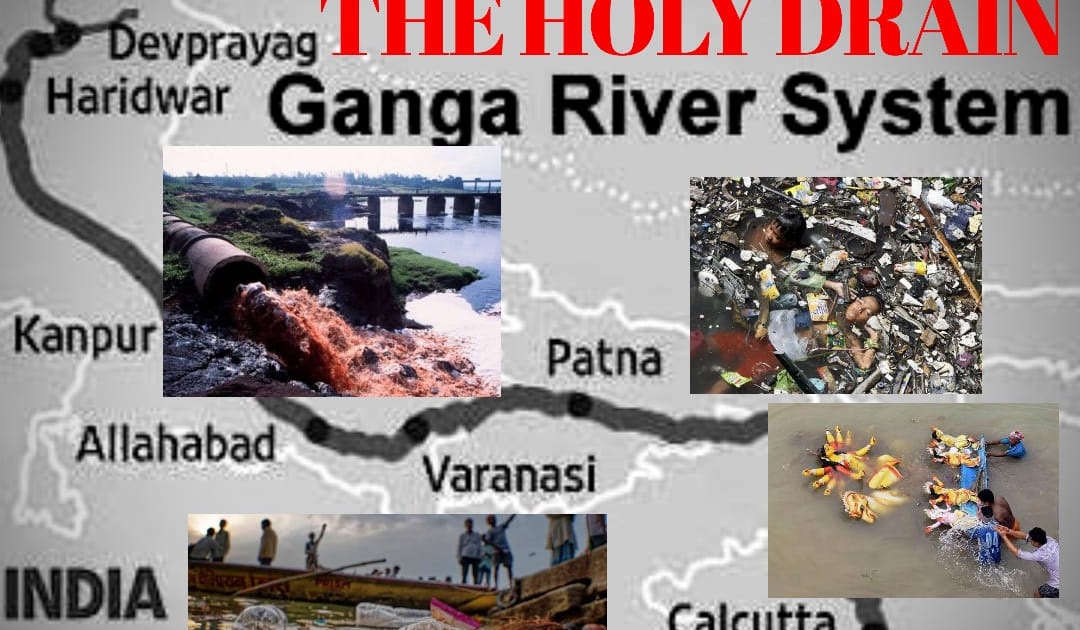 The Holy Drain- A Case on Ganga Pollution