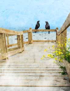 Photographic Art Beach Bums by Sara Harley