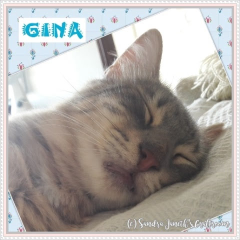 Gatos, Gina