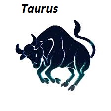 Image%25252Bresult%25252Bfor%25252Btaurus%25252Bimages.jpg