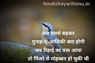 Dhokha Shayari In Hindi