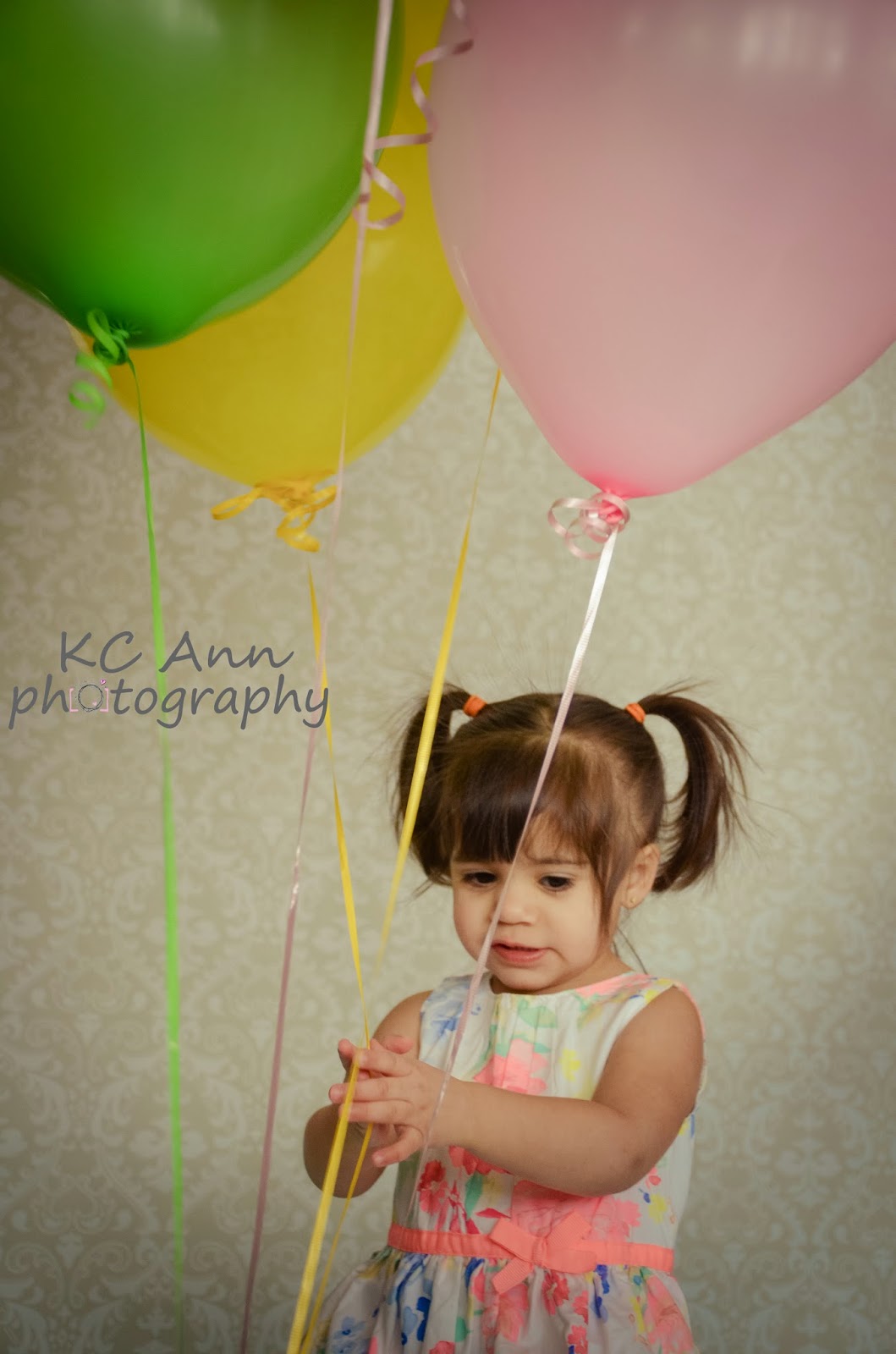 KC Ann Photography