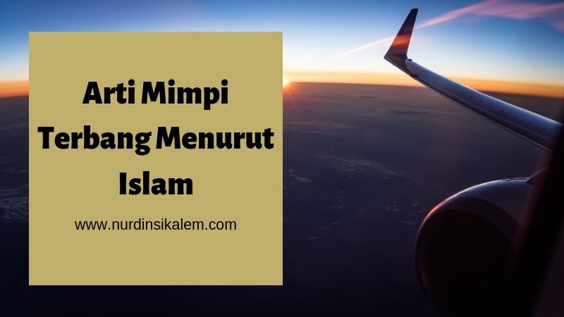 Tafsir Mimpi Terbang Menurut Islam Goreng Tafsir Mimpi Terbang Menurut Islam Goreng