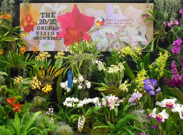 My Virtual Garden: FL Orchid Show 2020