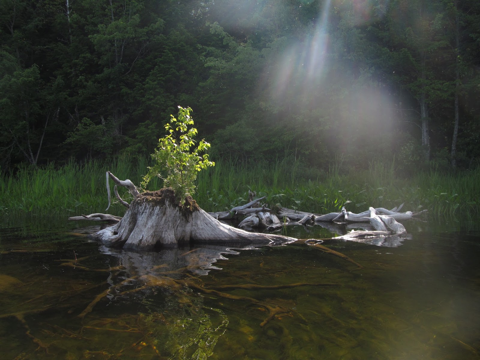 Recreational Kayaking in Maine Stump Pond, Lincoln Maine