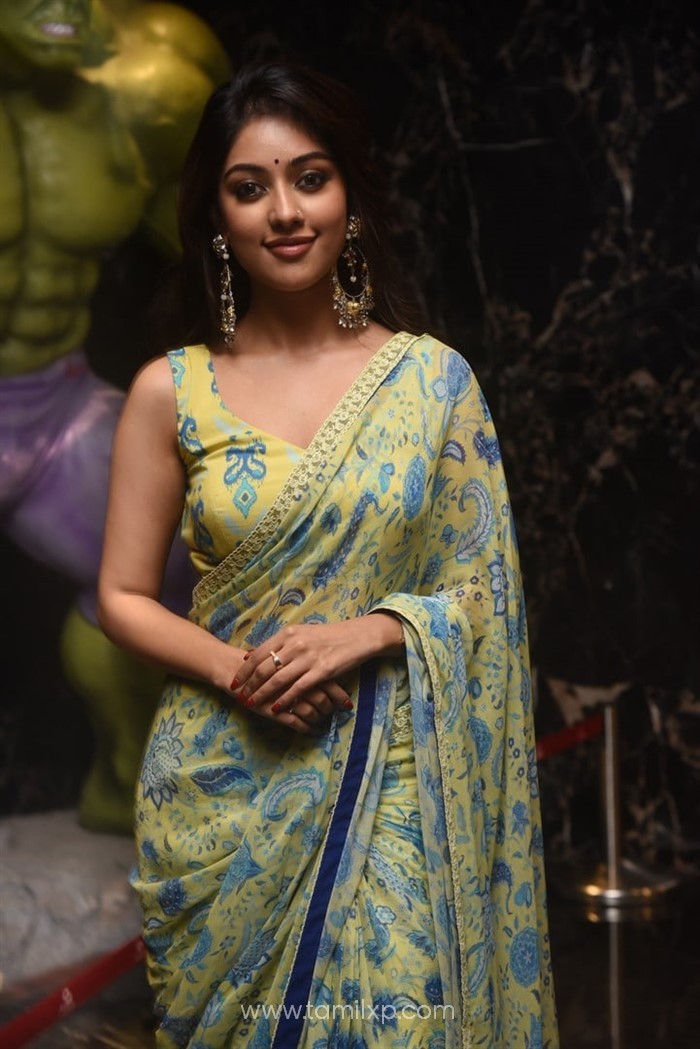 Telugu Actress Anu Emmanuel Saree Photos