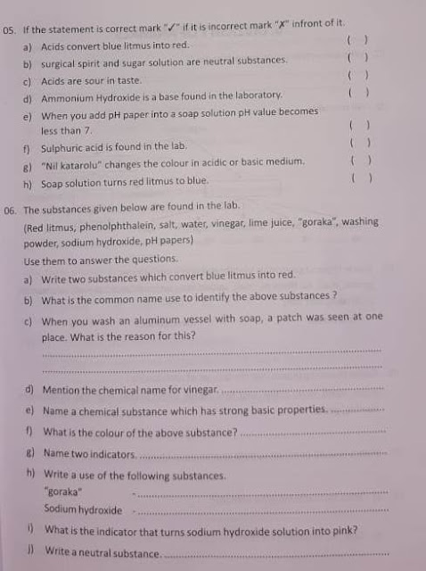 Grade 7 exam papers pdf download image