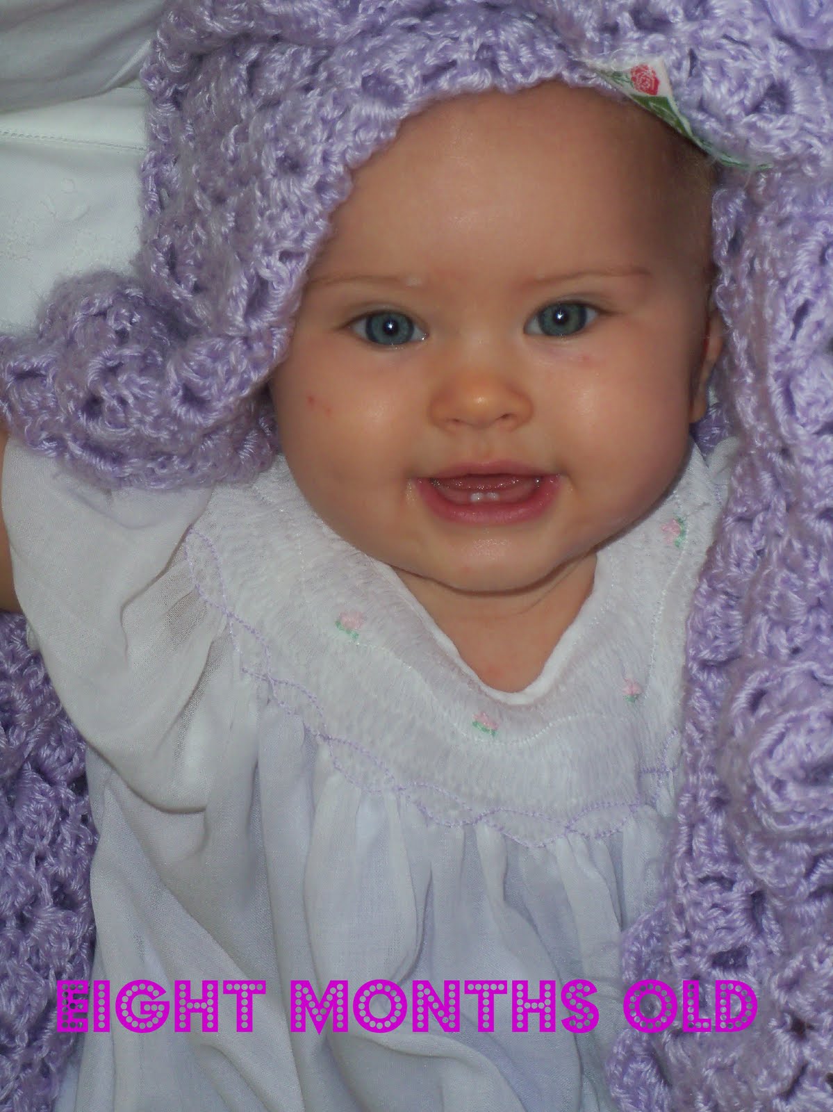 Beatrice Babies Eight Months Old