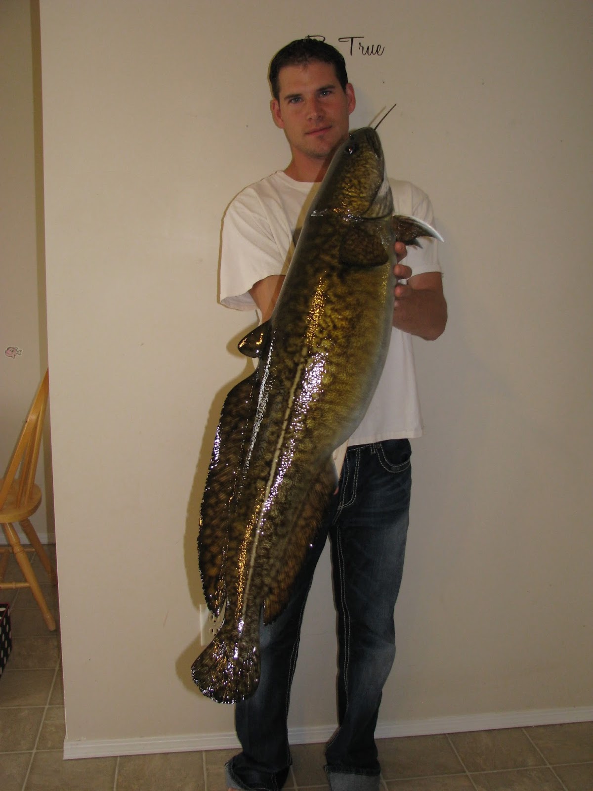 Dease Lake Fishing Holes Dease Lake