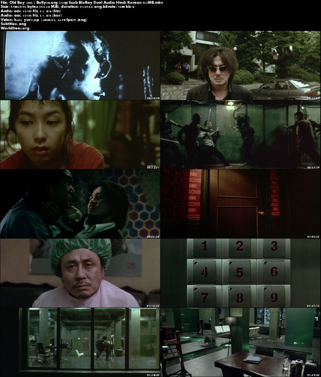 OldBoy 2003 BluRay 900Mb Hindi Dual Audio 720p Download