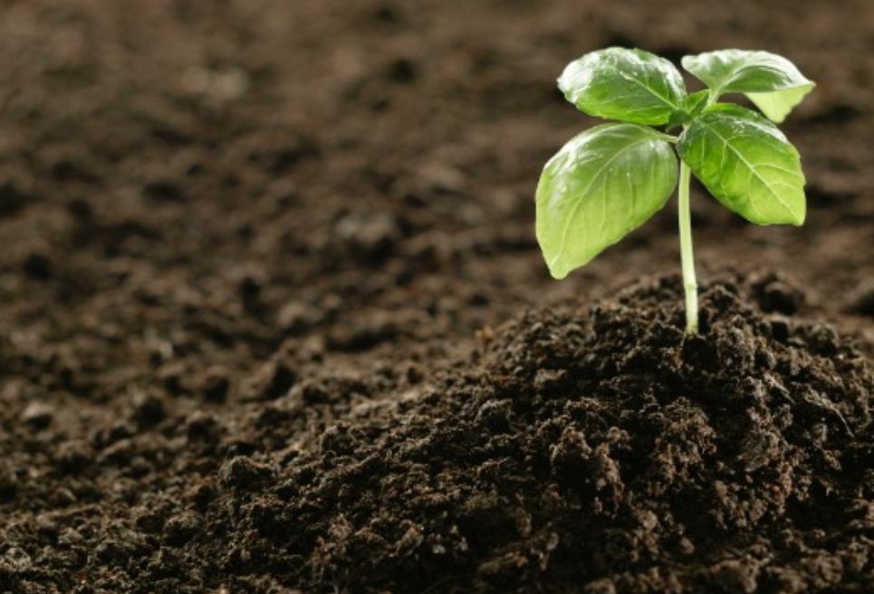 Laporan Praktikum Berat Jenis Dan Berat Isi Tanah Terlengkap