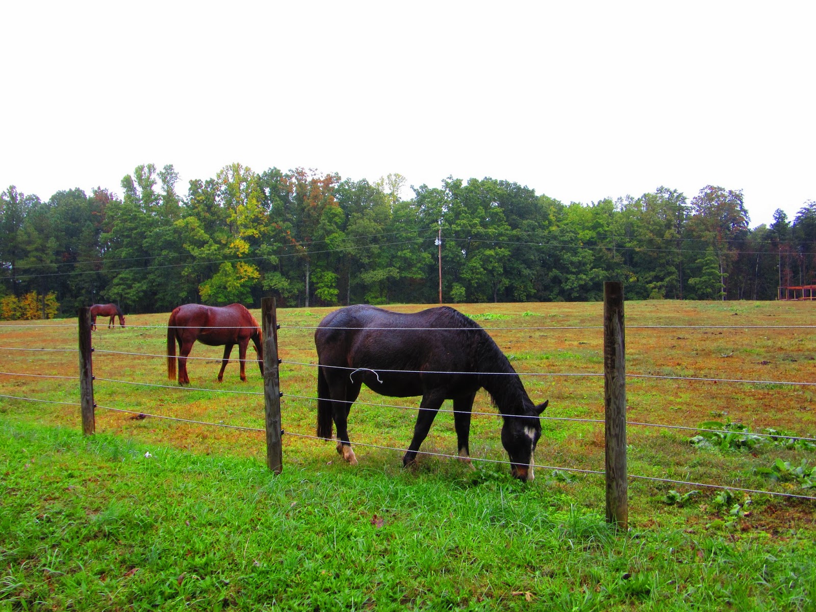 A Sudden Change in Plans Turned into a Great Family Adventure (I love