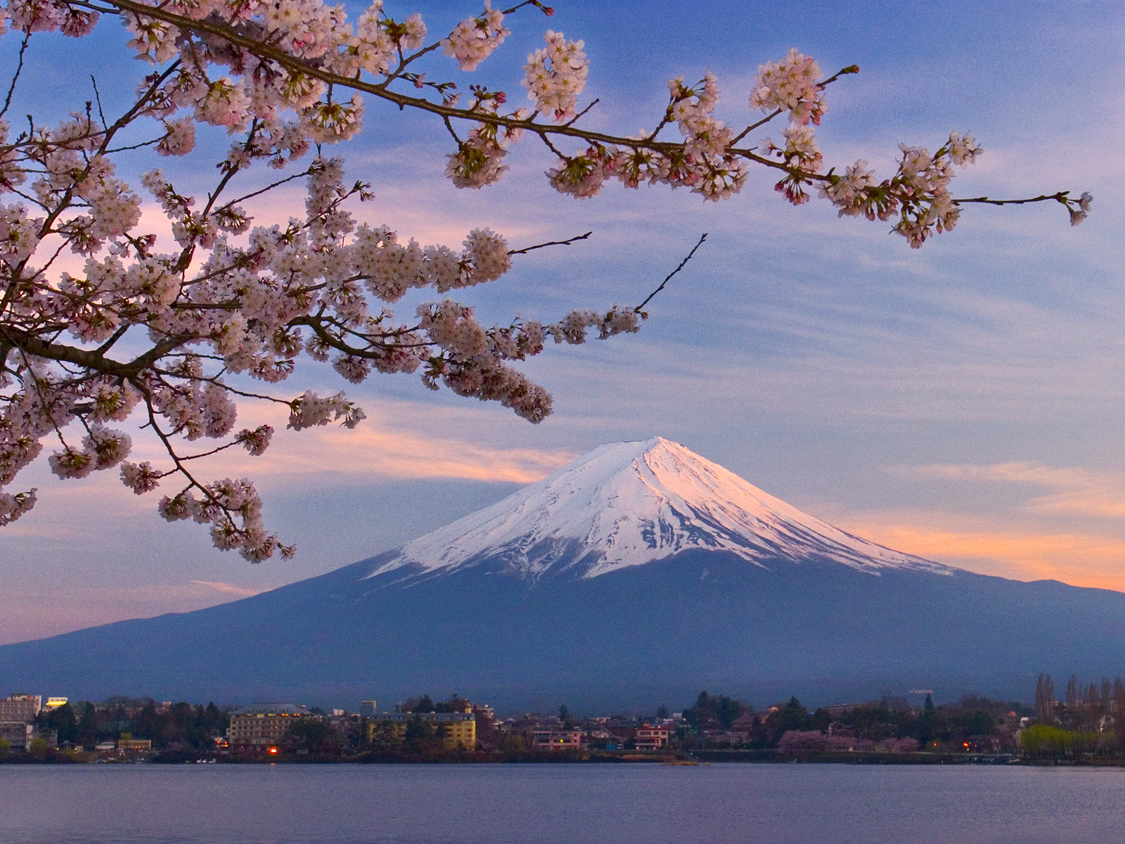 https://1.bp.blogspot.com/-AwvITNYSf8E/T0YDy6PcGAI/AAAAAAAAEvk/jh_-3-GRNzA/s1600/Cherry+Blossoms,+Mount+Fuji+and+Kawaguchi+Lake,+Kansai,+Japan.jpg