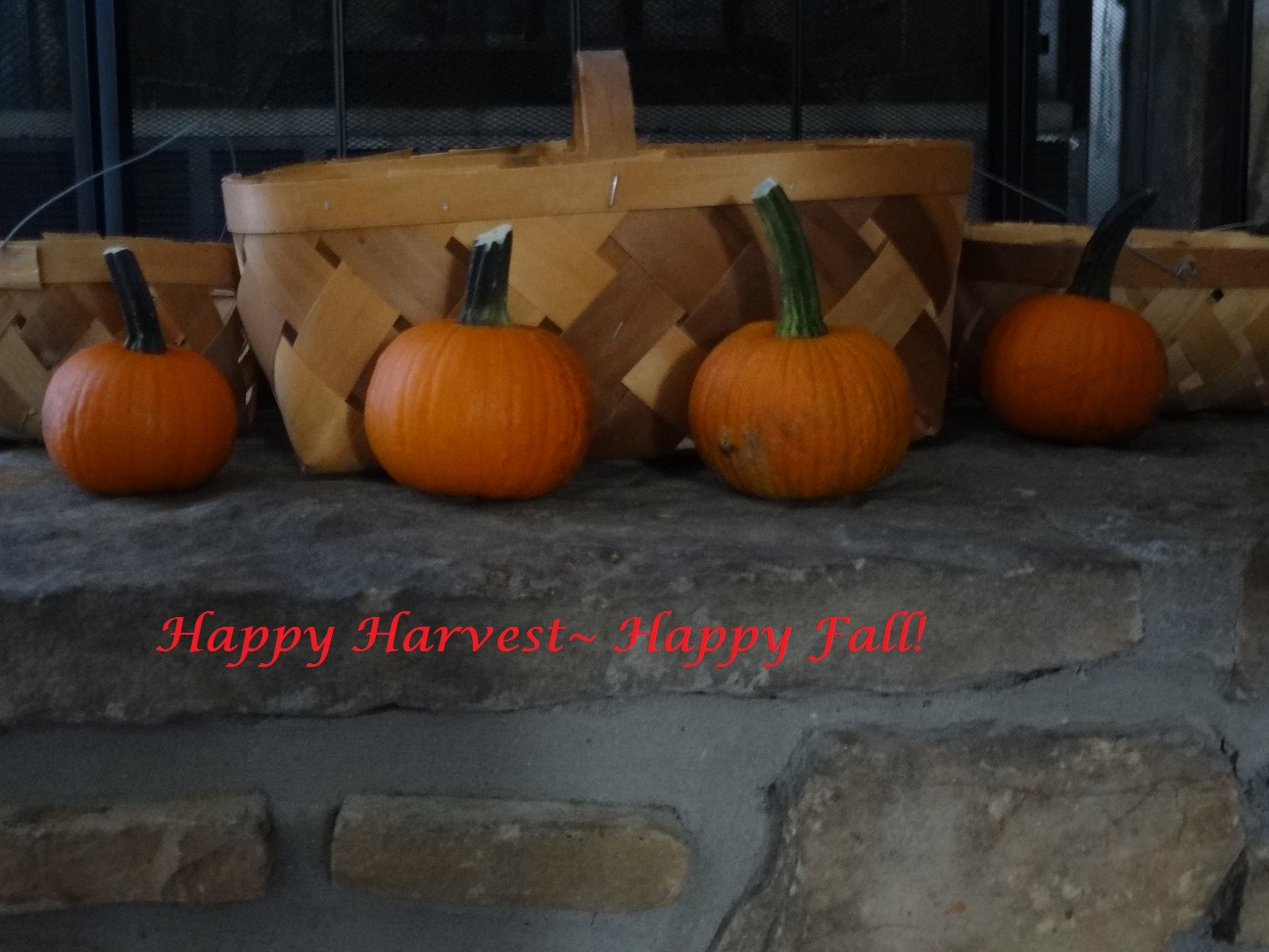 harvest pumpkins happy #Fall