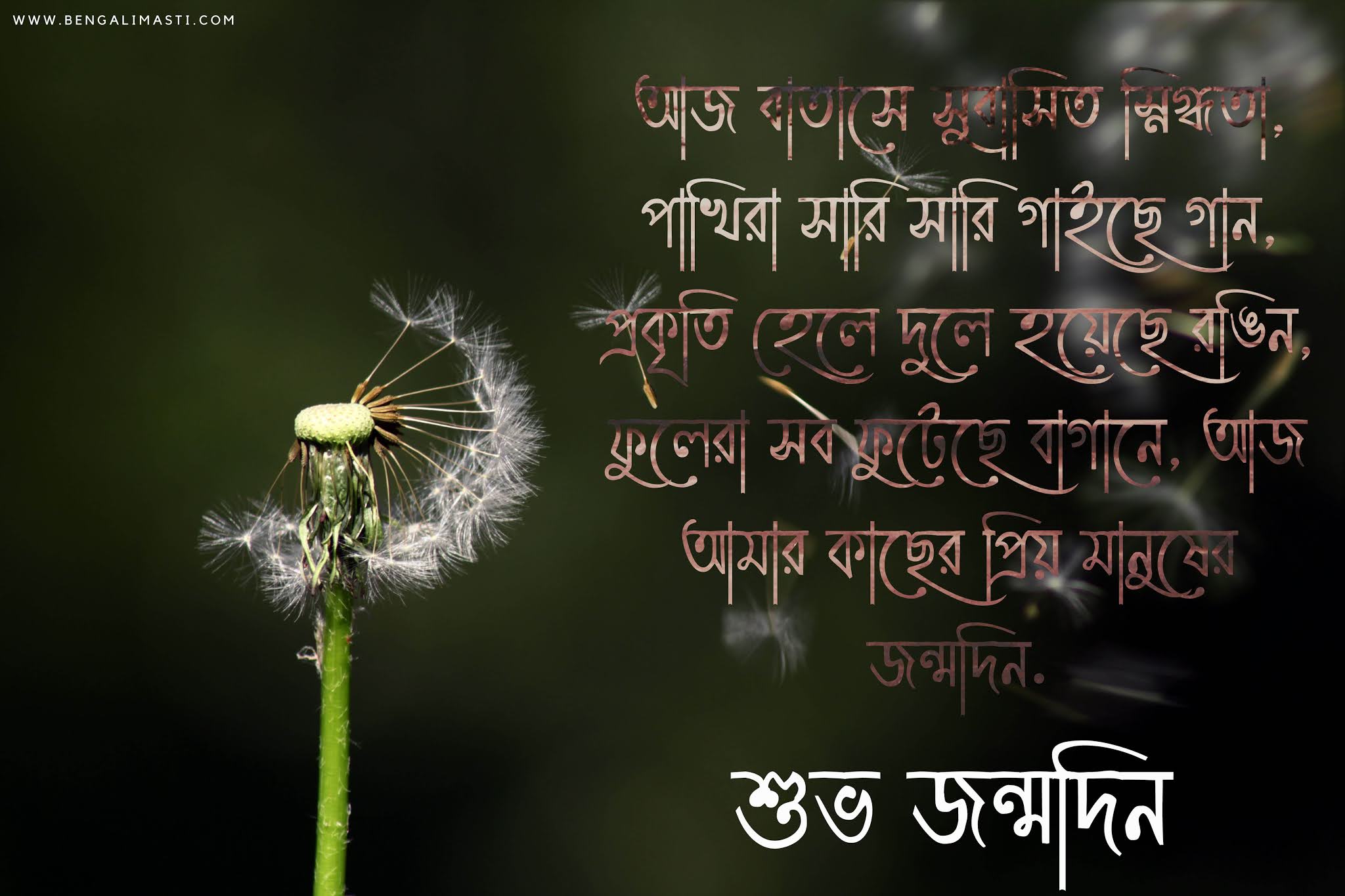 Bengali Happy Birthday Wishes