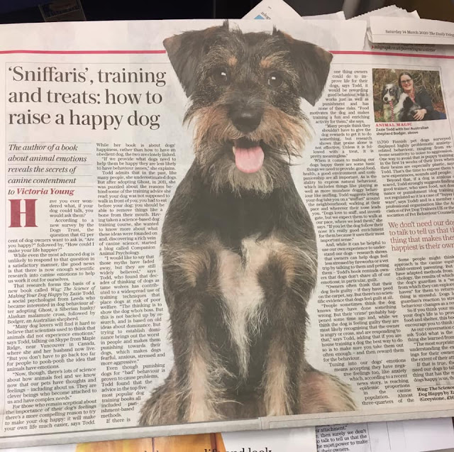 A copy of the Daily Telegraph with an interview with Zazie Todd about her book, Wag