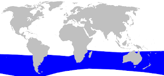 Hektor gagalı balinasının dağılım haritası