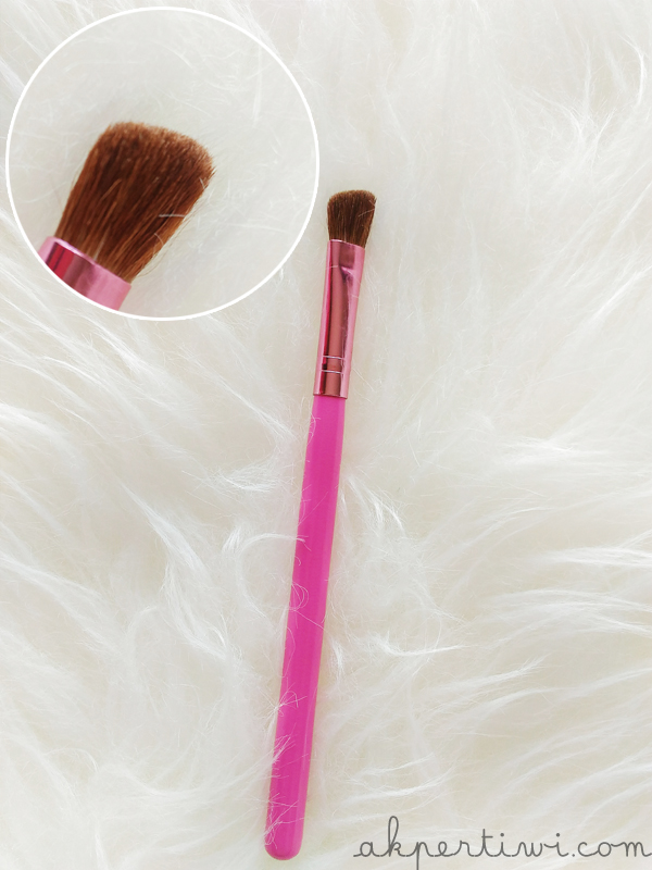 [REVIEW] Zoya Cosmetics 12pcs Brush Set Akpertiwi's Beauty Blog