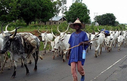 The Ekiti State House of Assembly on Thursday passed the bill to ban free grazing in the state; it also banned movement of cattle after 6pm in the state