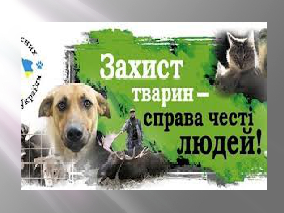 День захисту тварин