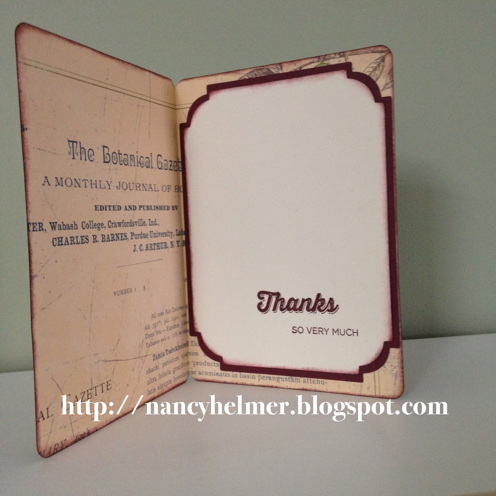 Nancy's Scrappin' and Stamps Cricut Dimensional Paper Art Feathers