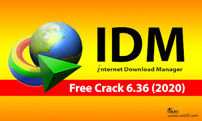 Internet Download Manager , a program for organizing file downloads