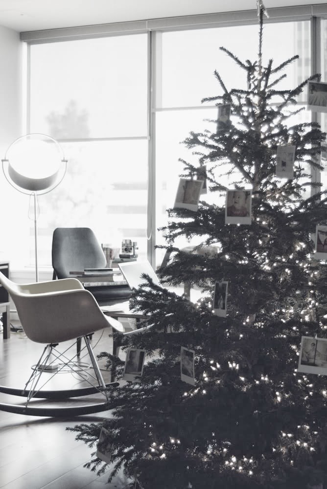 DUSTY Christmas tree